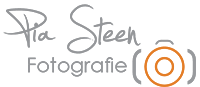 Logo-pia-steen